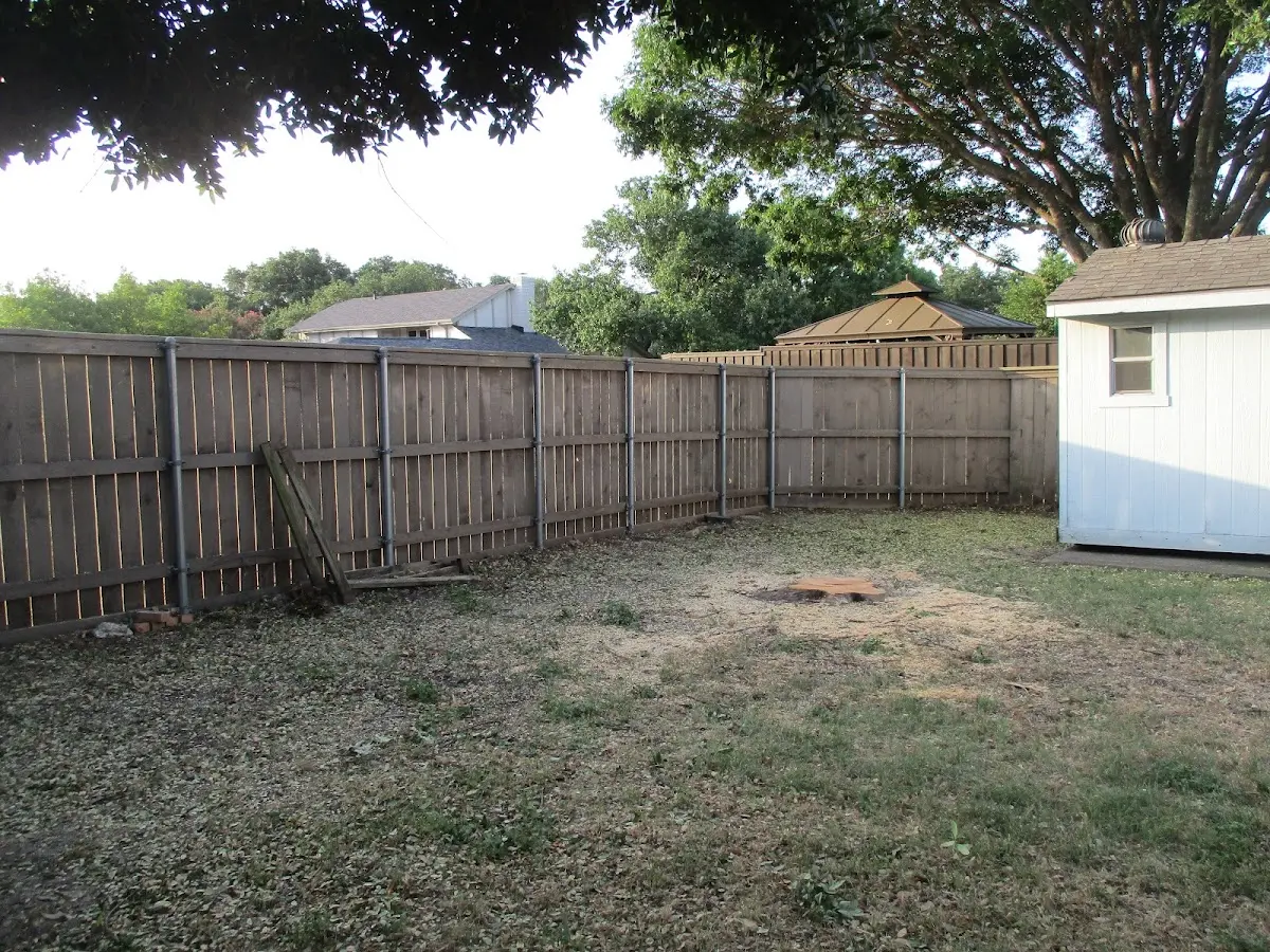 Cleared yard after professional tree removal in Saint Michael